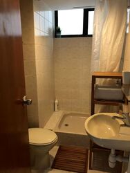 Jade Mansion (D10), Condominium #472176411